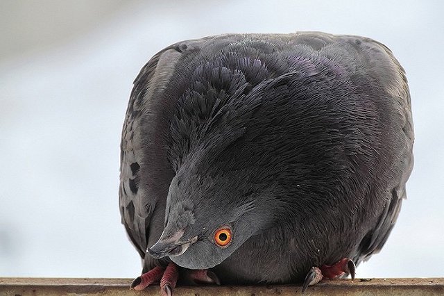 Свердловская область признана самым экологически грязным регионом