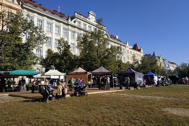 Сельхозпроизводители попросили не отменять из-за коронавируса ярмарки выходного дня