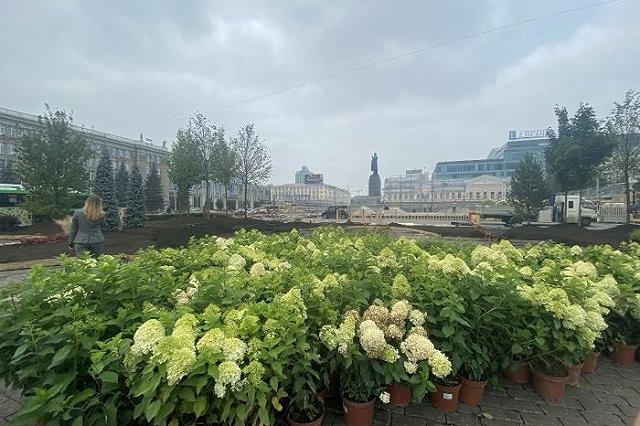 8 садов разобьют на Площади 1905 года