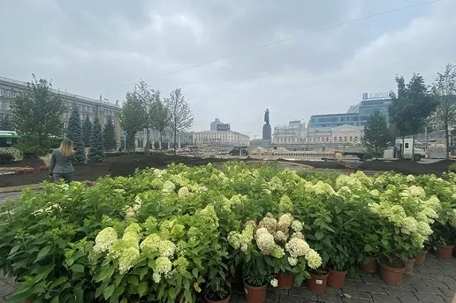 8 садов разобьют на Площади 1905 года