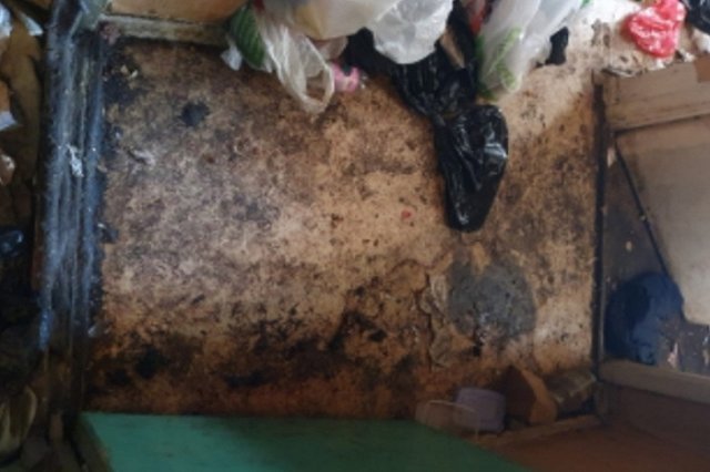 В Екатеринбурге квартирант убил женщину, у которой снимал комнату