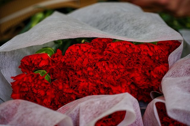 На Урал привезли тонны гвоздик