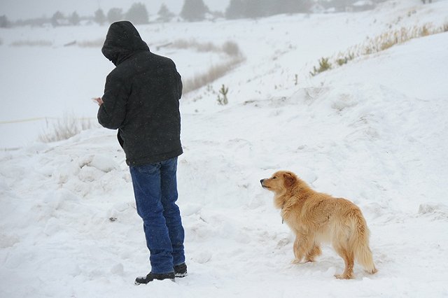 Тело 8-летней девочки, пропавшей в ноябре прошлого года, найдено в ХМАО