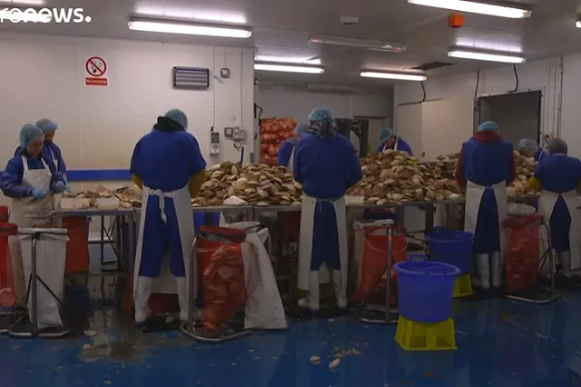 Sky News раскрыло реакцию ирландских рыбаков на встречу с российским послом