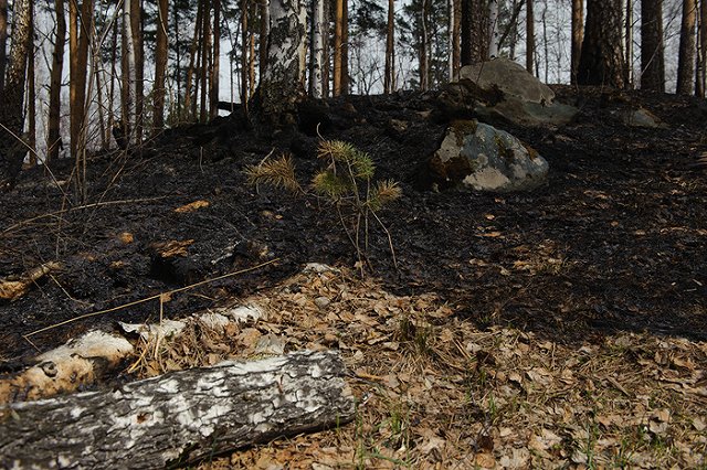 В Свердловской области отменяют особый режим