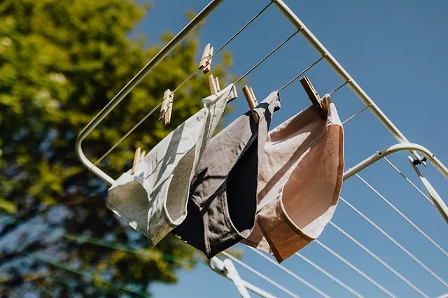 Жители Швейцарии закопают трусы в землю ради науки