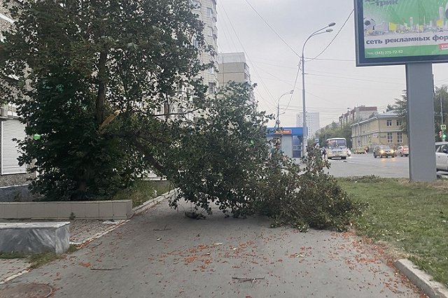МЧС по Свердловской области выпустило предупреждение в связи с непогодой
