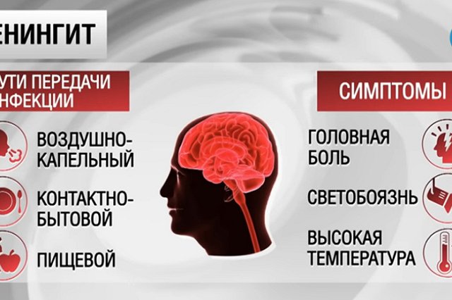 Роспотребнадзор: риска заразиться менингитом через посылки со склада Ozon нет