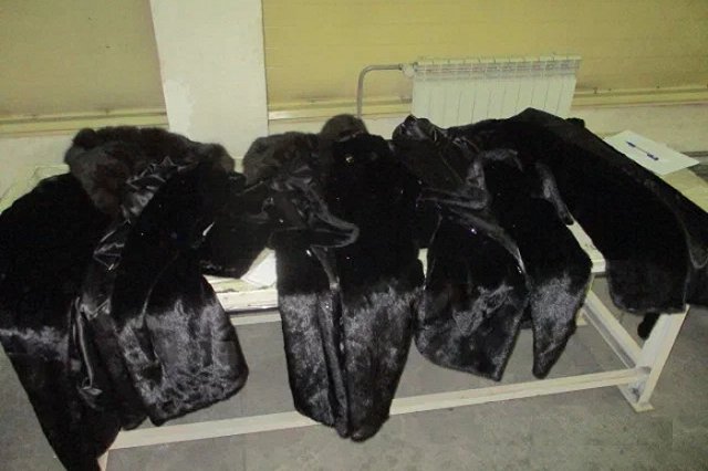 Кольцовские таможенники признали бесхозяйными шубы на полтора миллиона рублей