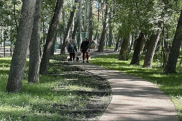 Парк, занявший в голосовании по программе ФКГС второе место, обновят в Екатеринбурге