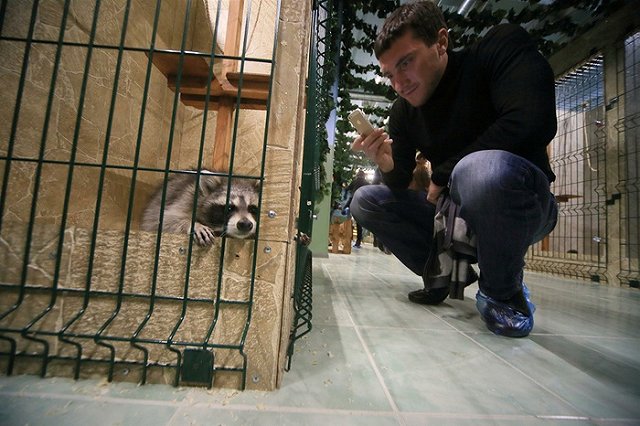 Енот Семен из ИК № 2 отказался впадать в спячку