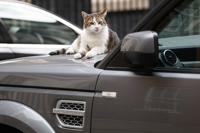 Судья объяснила, как избежать покупки заложенного в банке автомобиля