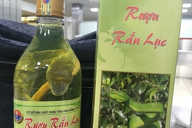 Кольцовские таможенники пресекли ввоз заспиртованных змей из Вьетнама