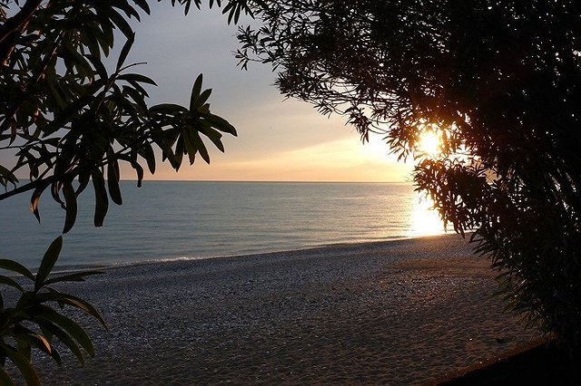 «Драки, воровство, преступления на сексуальной почве»