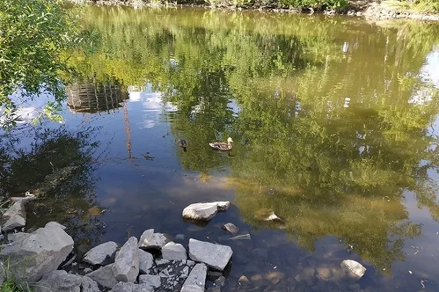 Мэрия объявила конкурс на разработку концепции набережной Исети от ЦПКиО до Уктуса