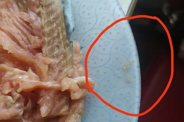 Екатеринбуржец нашёл в рыбе из «Кировского» глистов — фото