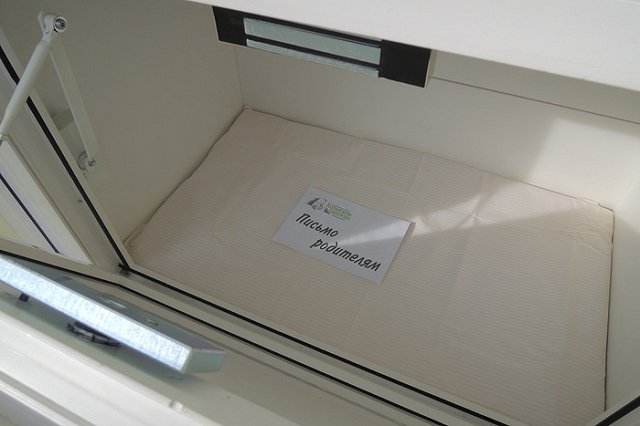 В РПЦ бэби-боксы назвали орудием войны Запада