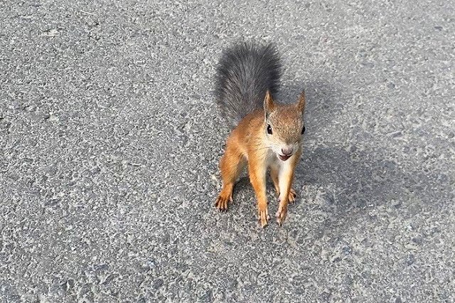 Свердловские спасатели выпустили экстренное предупреждение