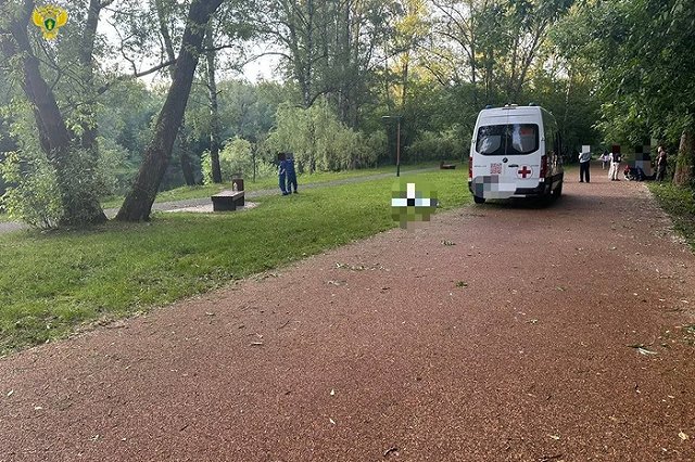 В московском парке мужчину убили на глазах у его внучек