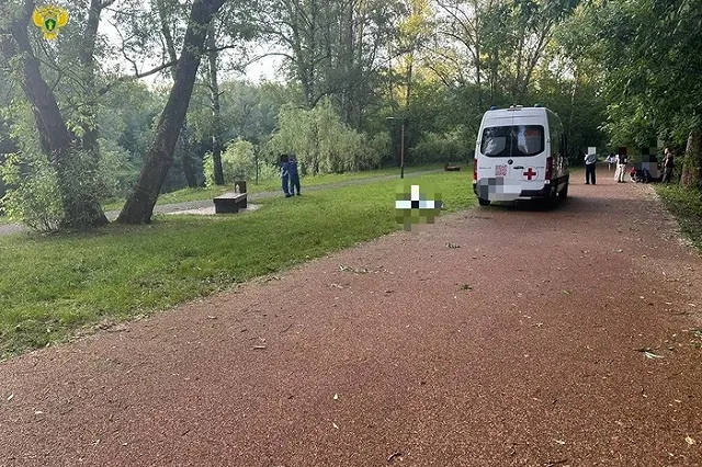 В московском парке мужчину убили на глазах у его внучек