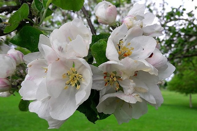 Россиян ждут две трехдневные рабочие недели