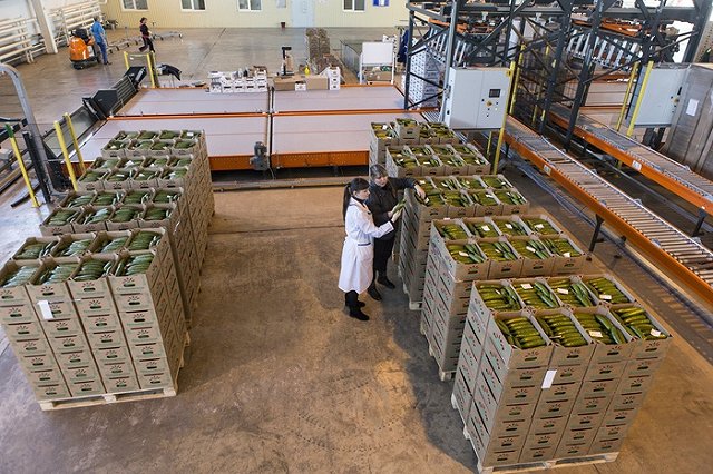 Ренова построит в Свердловской области тепличный комплекс