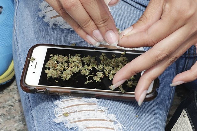 Полиция обнаружила в Завокзальном мини-оранжерею по выращиванию марихуаны