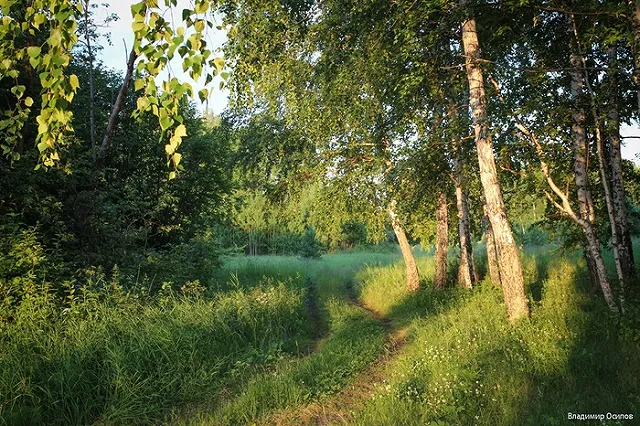 «Урал похож на Канаду, а 2018-й на 1999-й». Как изменилась погода в регионе