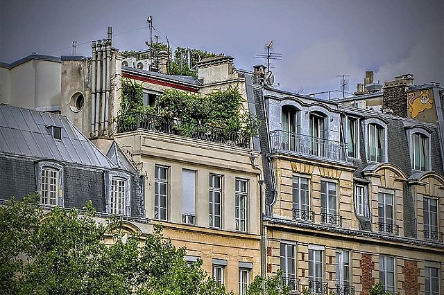 Жители квартиры на Чапаева отбились в судах Екатеринбурга от претензий соседа к их «пентхаусу»