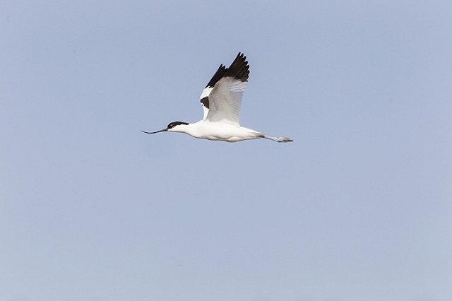Эксперт объяснил версию крушения Ту-154, связанную с ошибкой пилотов