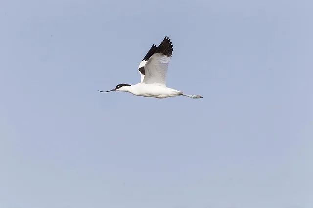 Эксперт объяснил версию крушения Ту-154, связанную с ошибкой пилотов