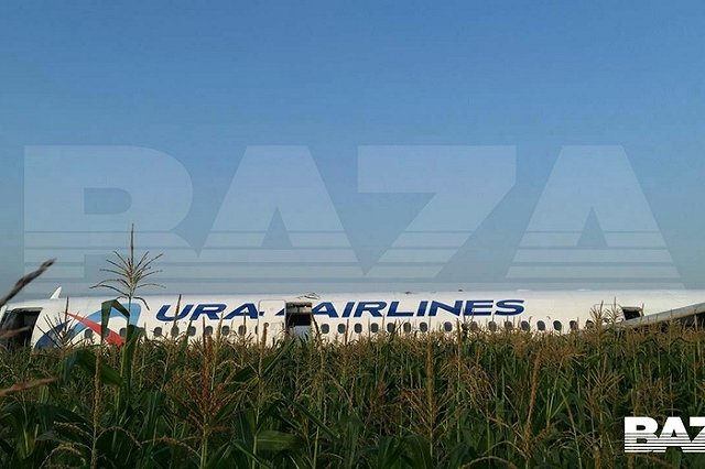 Появилось видео посадки самолета «УА» в поле, снятое одним из пассажиров