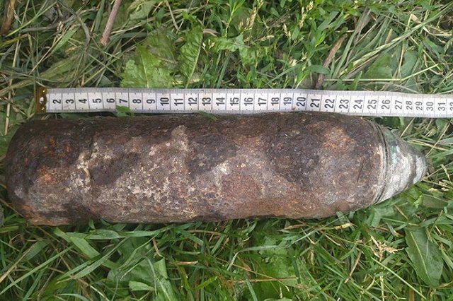 В свердловском лесу нашли опасный боеприпас