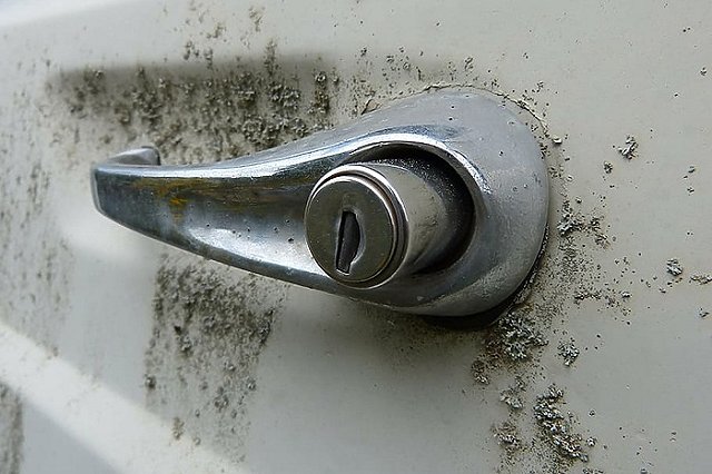 Французская Renault SAS попала под российские санкции