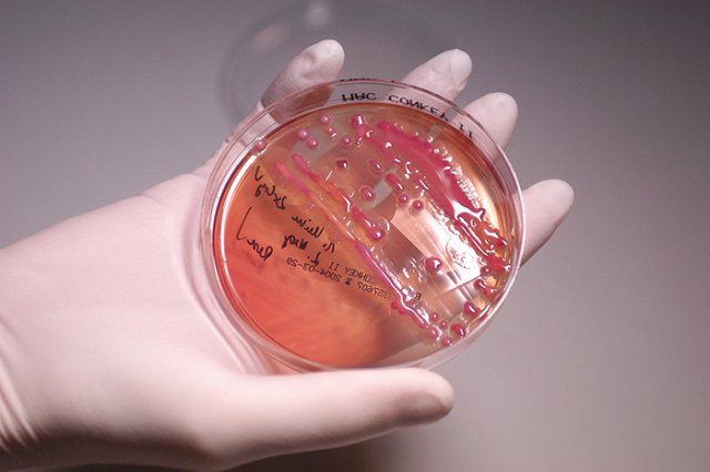 Миграция клеток: живет ли внутри вас другая личность?