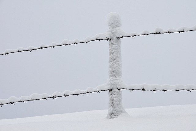 Под Оренбургом задержали сбежавшего из колонии при «Черном дельфине»