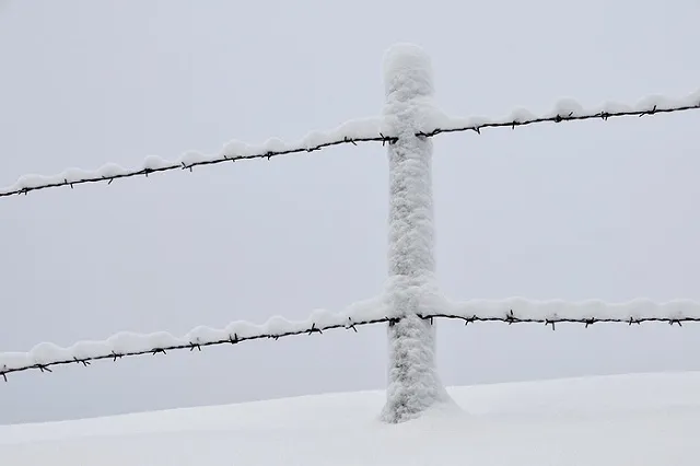 Под Оренбургом задержали сбежавшего из колонии при «Черном дельфине»