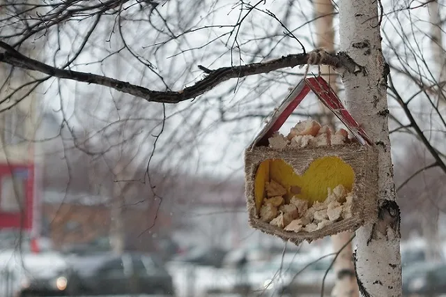 На стройку в Кольцово, где 15 дней голодают пайщики, едут министр и омбудсмен