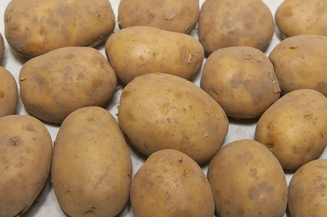 Картофель опередил все социально значимые продукты по росту цен