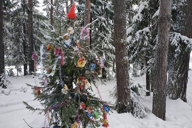 Двое уральцев с топором и ракетницей напали на продавца ёлок