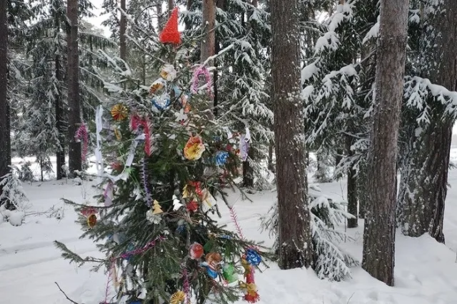 Двое уральцев с топором и ракетницей напали на продавца ёлок