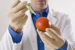 Дума рассмотрит проект закона о запрете ГМО