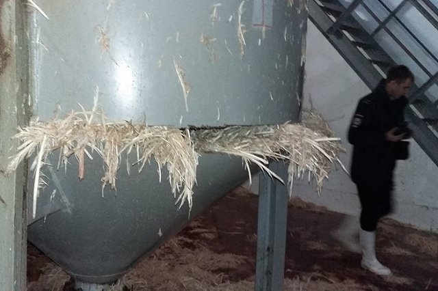 В Заводоуковске взорвалась ёмкость с перьями птиц, есть погибший