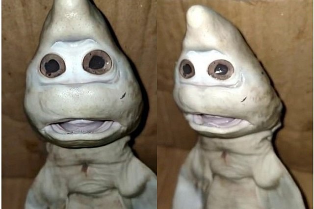 В животе акулы обнаружили детёныша с «человеческим» лицом