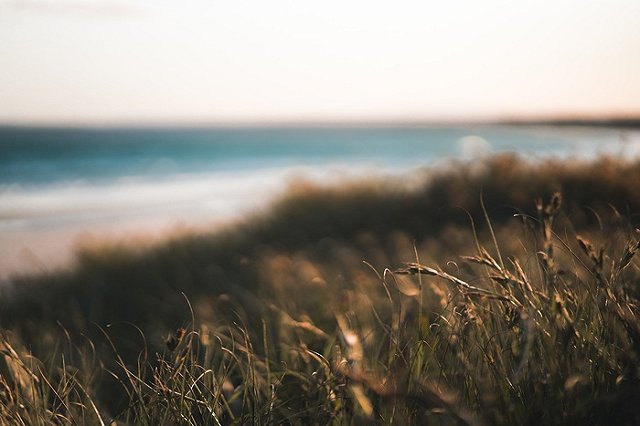 На Чукотке охотник выложил «сердечко» из убитых гусей