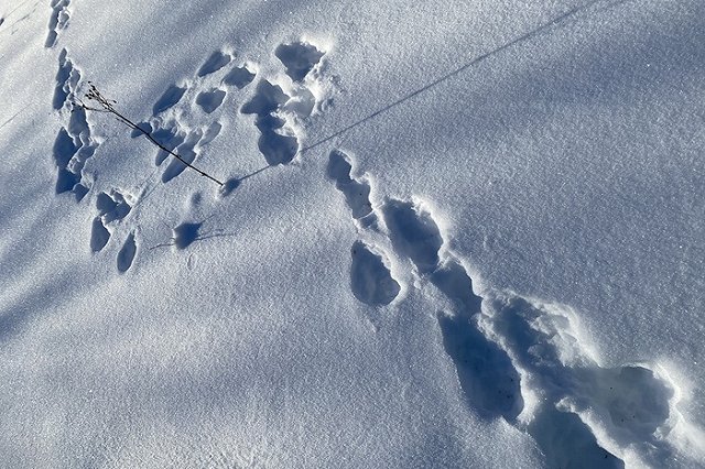 На Урале стартовал горно-лыжный сезон