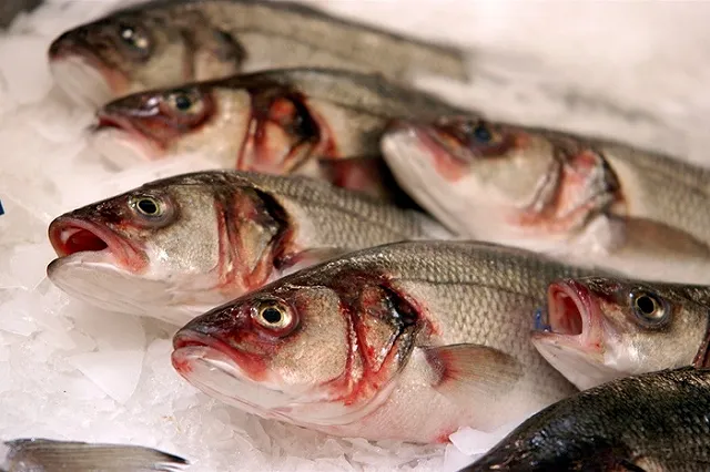 Рухнувшая с неба огромная рыба пробила крышу дома в Финляндии