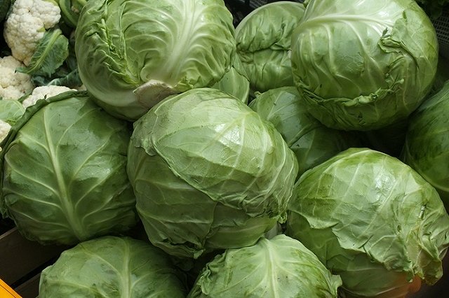 Цены на раннюю капусту бьют рекорд