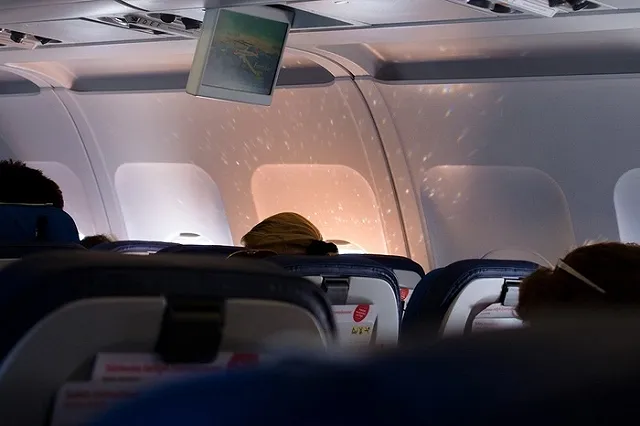 Екатеринбурженку, устроившую дебош в самолете, заперли в туалете