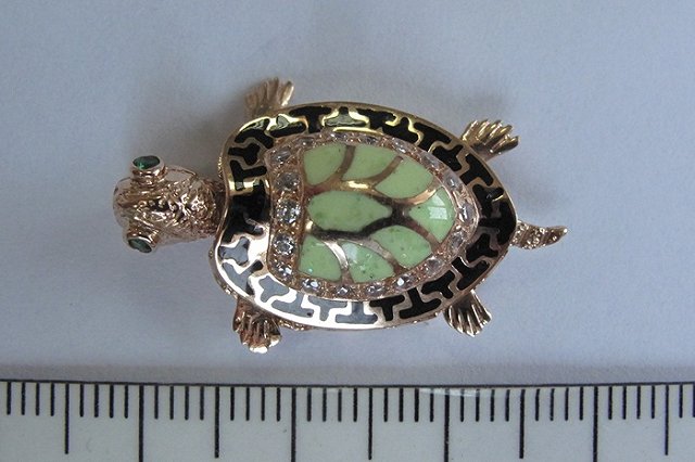 Пассажирке Кольцово, ввезшей под одеждой золотых черепашек, грозит полумиллионный штраф